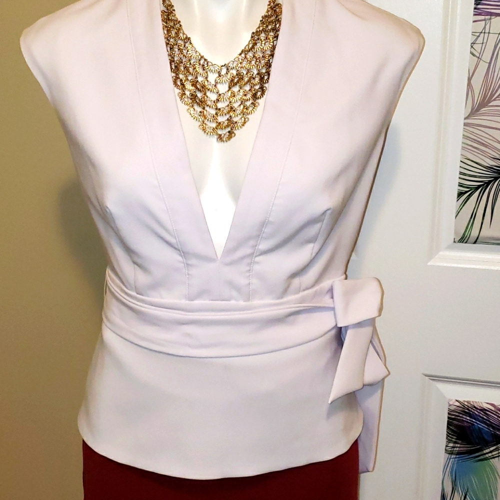 BEBE Sexy V-neck Top